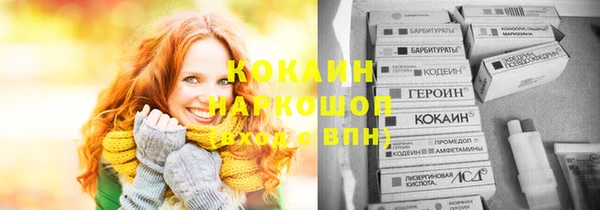 прущие грибы Тында