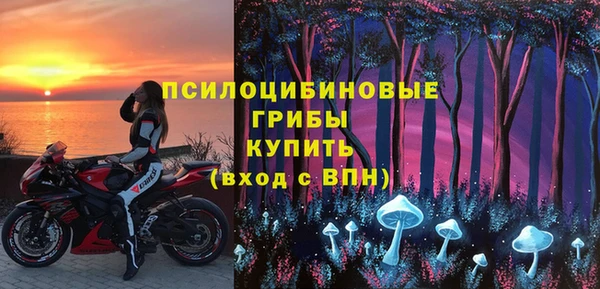 спайс Горнозаводск
